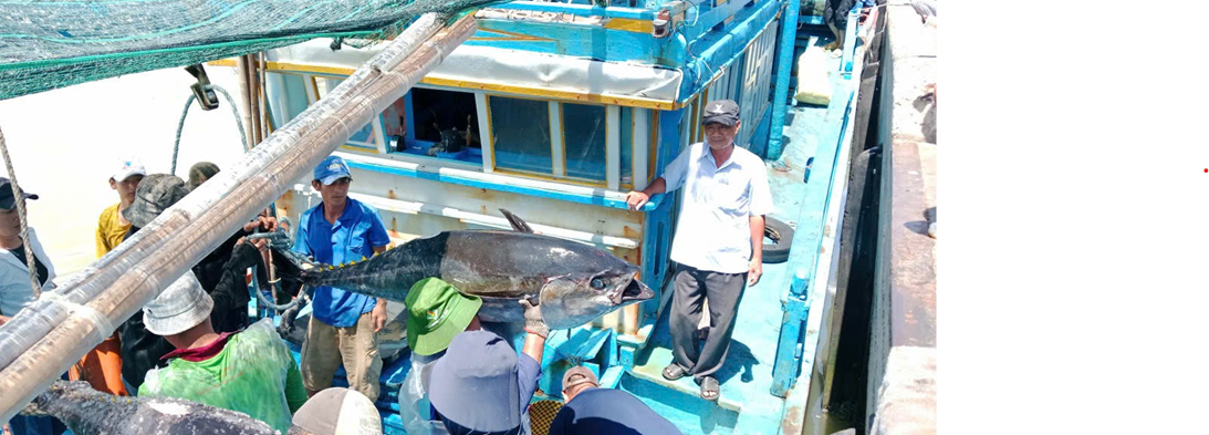 Đinh Văn Binh chỉ đạo